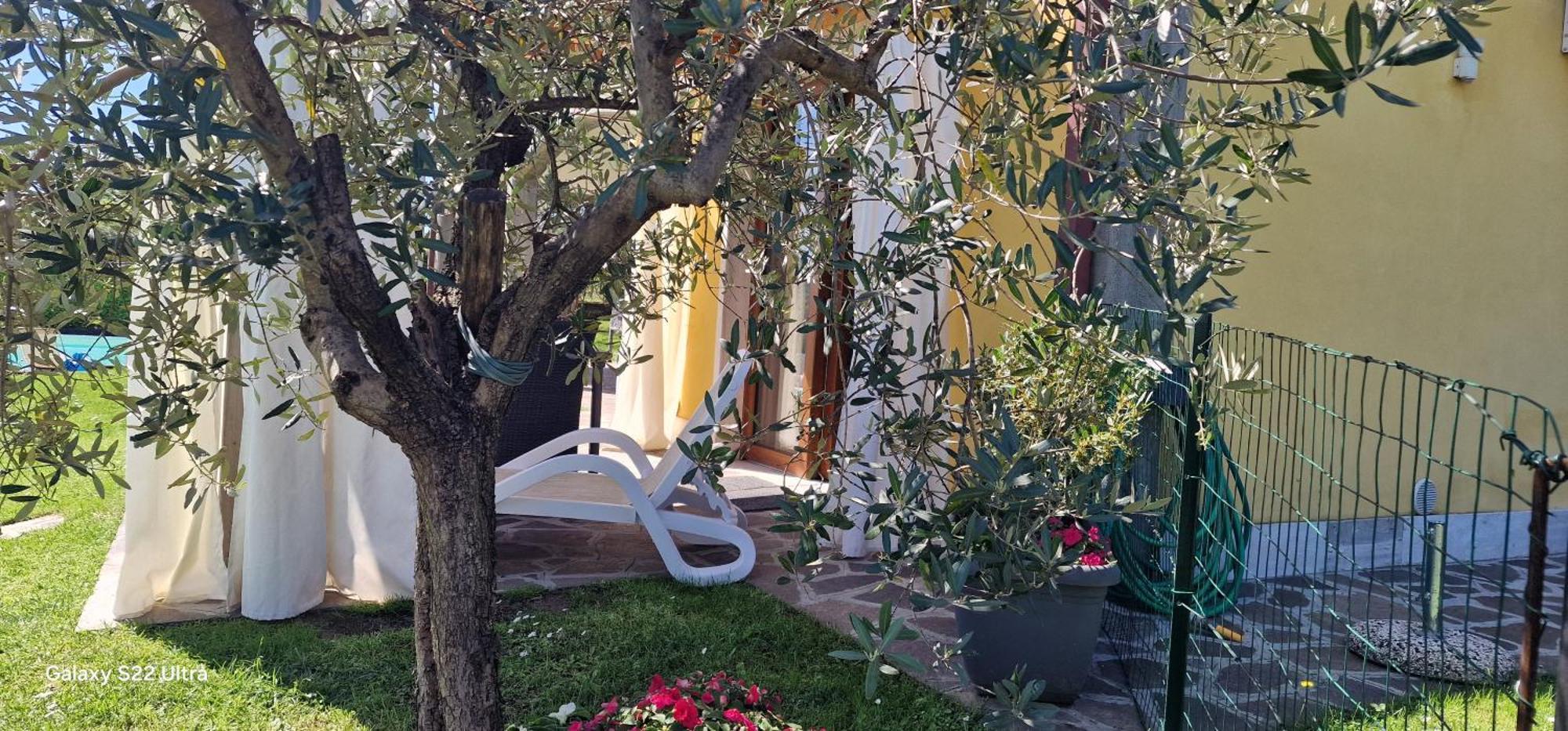 Appartamenti A Bardolino Oda fotoğraf